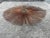 Mid-Century Modern 1960s Mid-Century Modern William and Bruce Friedle Wire Sunburst Wall Sculpture For Sale - Image 3 of 7