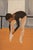 Figurative Figure Study, Dancer | Framed Vintage Pat Brown Painting, Signed For Sale - Image 3 of 7