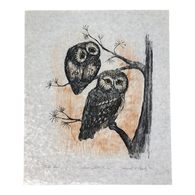 1975 Martha Cawley Woodblock Print, Saw-Whet Owls, #1/100 For Sale