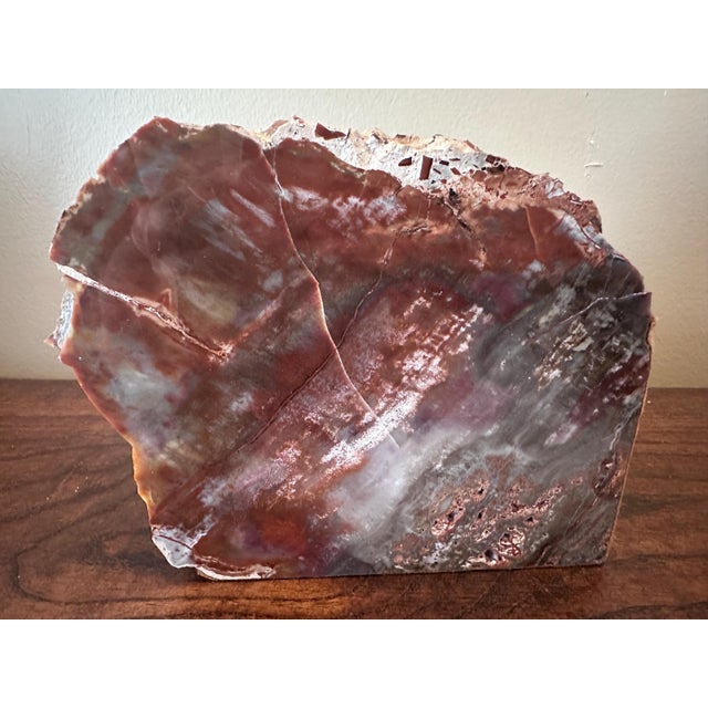 This stunning pair of solid, heavy petrified wood bookends are a matching pair cut from the same piece of petrified wood,...