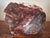 This stunning pair of solid, heavy petrified wood bookends are a matching pair cut from the same piece of petrified wood,...