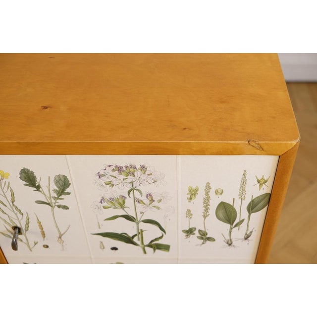 Swedish Modern Nordens Flora Bookcase by C.A.M. Lindman, Sweden, 1940s For Sale - Image 10 of 12