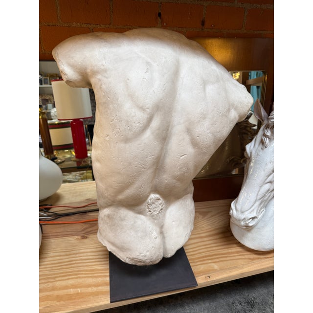 Gaddi's Torso, Plaster Bust, Copy in Scale 1/1 For Sale - Image 4 of 9