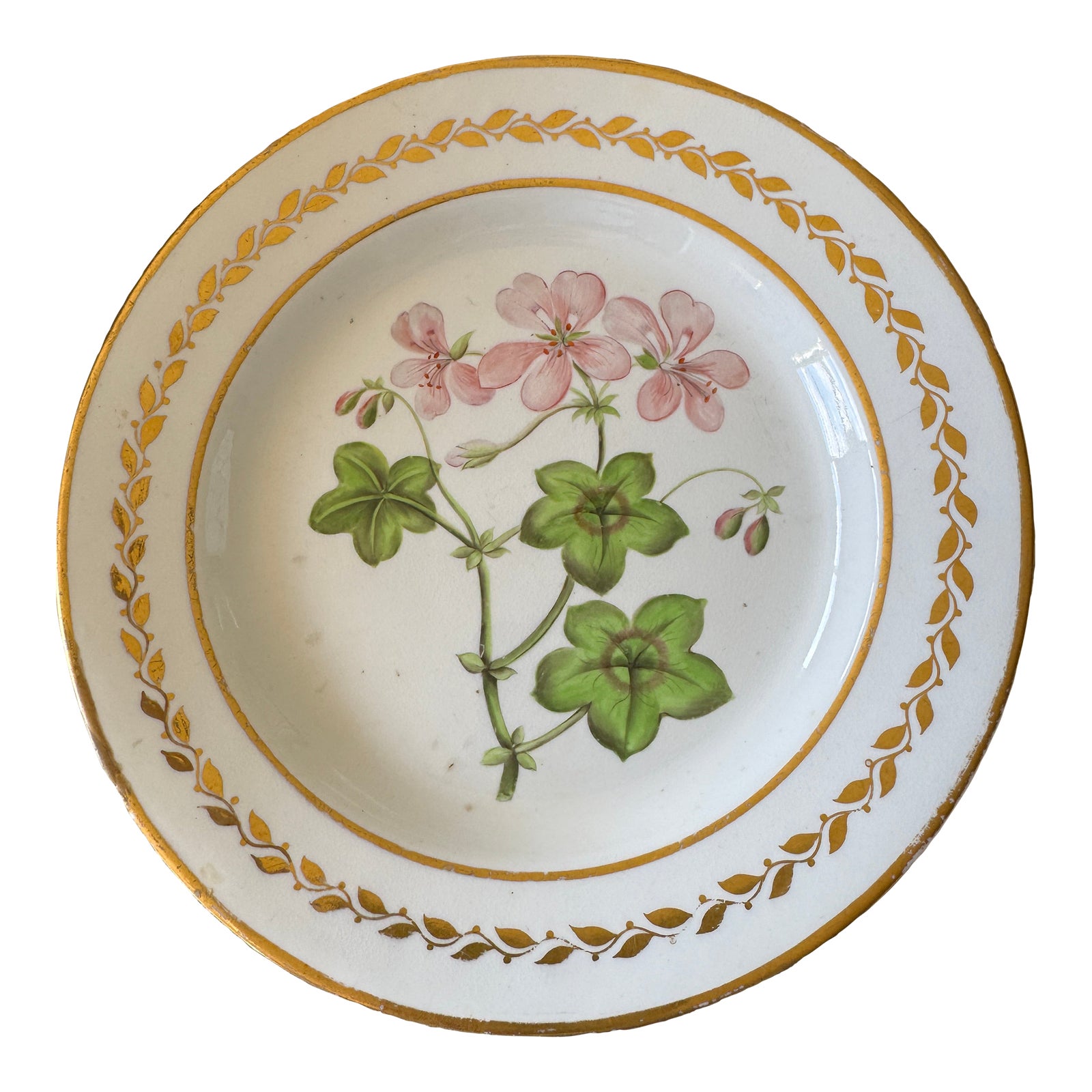 Antique “Ivy Leaved Geranium” Botanical Plate – Hand-Colored English ...