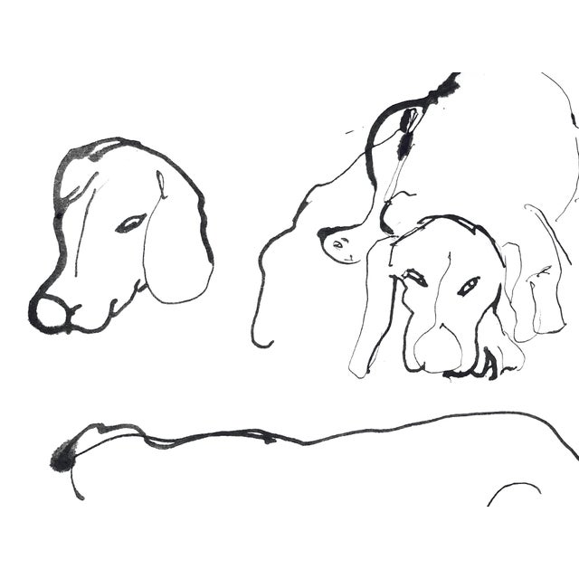 2020s Beagle Faces - Portraits by Martha Holden For Sale - Image 5 of 6