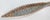 Mid-Century Modern Mid-Century Modern Italian Pottery Fish Dish Attributed to Aldo Londi Bitossi or Raymor For Sale - Image 3 of 13