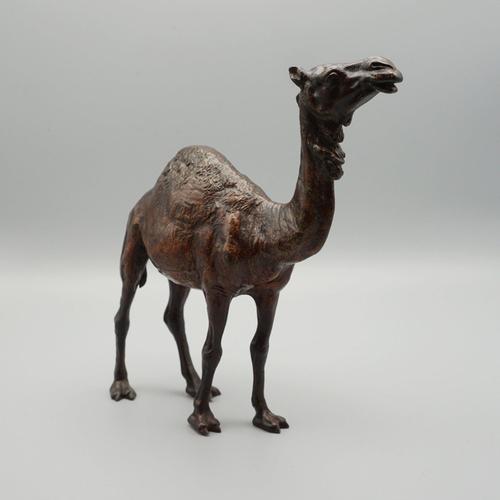 Franz Bergman, Dromedary, 1890s, Bronze For Sale - Image 6 of 10