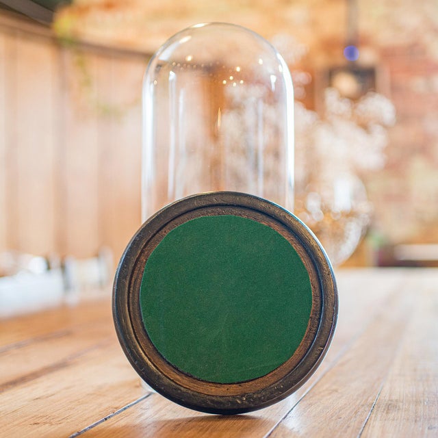 1910's Antique Collector's Dome For Sale - Image 6 of 9