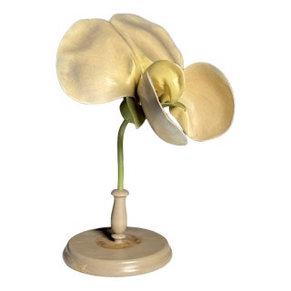 German Botanical Flower Model, 1900 For Sale