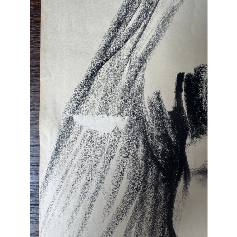 Antonio Lopez Charcoal Drawing of Nancy North C. 1980s | Chairish