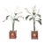 Pair of Italian 1930s Tôle Calla Lillies Sculptures in Red and Gold Containers For Sale