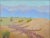 Beautiful, historic painting of the California desert in bloom by listed Santa Cruz artist Charles O. Fuson (American,...