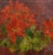 Mid Century Poinsettia Still Life by Claudia Dobbins For Sale - Image 4 of 8