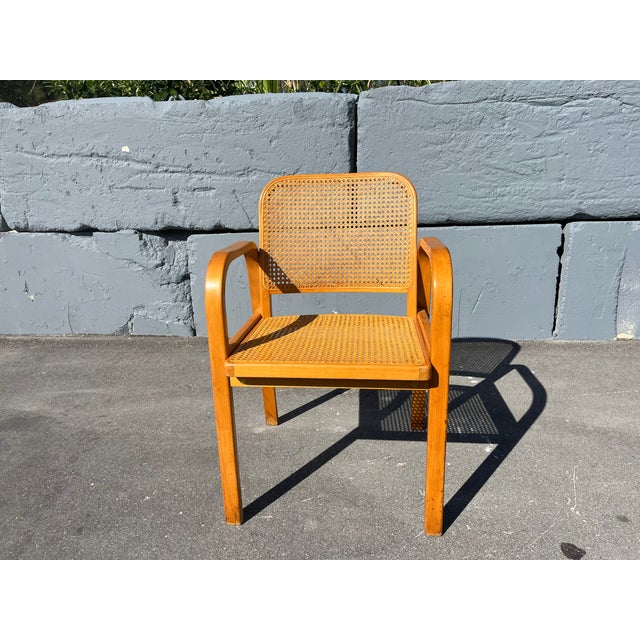 Bentwood and Cane Arm Chair, 1960 For Sale - Image 10 of 13