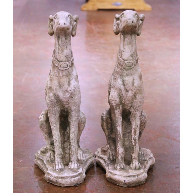 French Pair of Vintage French Outdoor Weathered Carved Stone Greyhound Dog Sculptures For Sale - Image 3 of 9