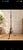 A wrought iron floor lamp dating from the early 20th century. The tripod base rests on three graceful feet ending in...