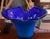 Signed Marcello Furlan Murano Glass Sculptural Centerpiece Bowl, Cobalt Blue, 1995 For Sale In New York - Image 6 of 8