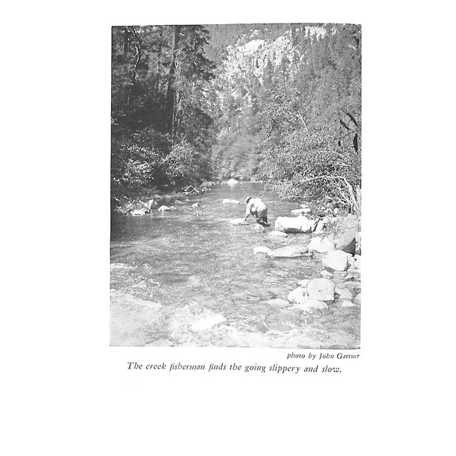 "Western Trout" 1948 Macdowell, Syl For Sale - Image 4 of 10