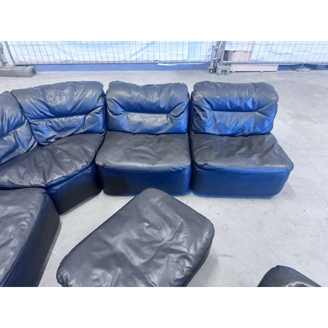 Animal Skin Modular Plus 144 Sofa from Walter Knoll, 1970s, Set of 7 For Sale - Image 7 of 18