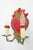 1970s Vintage Italian Lovebirds Florentine Wall Lamp, 1970s For Sale - Image 5 of 9