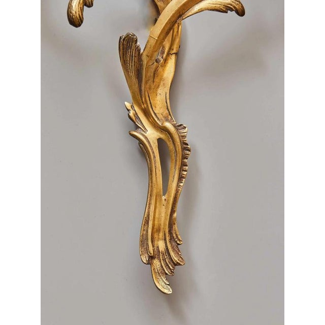 Louis XV 2-Armed Wall Lights, Set of 2 For Sale - Image 6 of 8