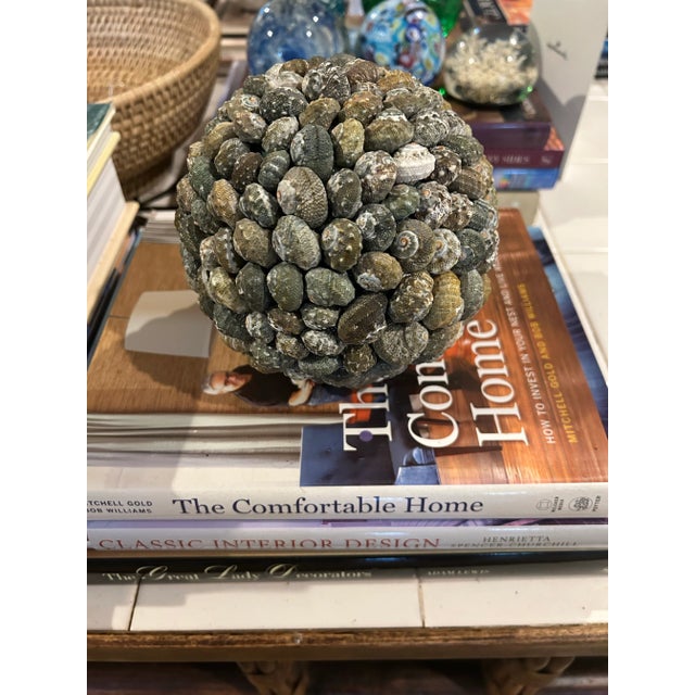 Contemporary Shell Encrusted Decorative Ball or Sphere For Sale In New Orleans - Image 6 of 6