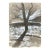 1980s Richard Snyder Modern Landscape Painting For Sale