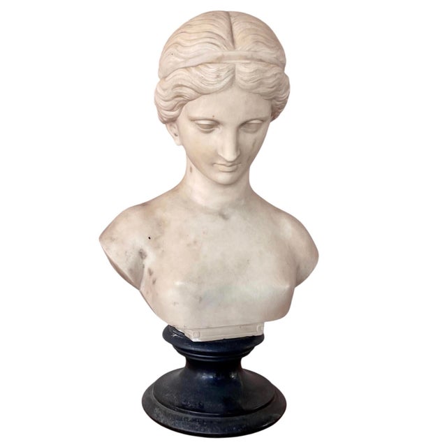 Italian Carved Marble Bust of a Young Woman For Sale - Image 16 of 16
