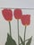 Henry Evans Botanical Linocut Prints Framed- Set of 4 For Sale - Image 15 of 17