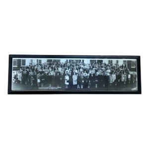 Vintage 1967 Panoramic Long Photo Picture Advanced Management Program Harvard 31” Long