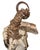 Gray Didymoceras Stevensoni Heteromorph Ammonite Fossil on Matrix, South Dakota. For Sale - Image 8 of 12