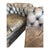 Chesterfield 3-Seater Sofa and Club Chair in Leather, Set of 2 For Sale - Image 10 of 11