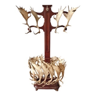 Vintage Fallow Deer Antler Hall Tree For Sale
