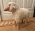 Equal parts iconic and adorable, this lamb-sized sheep sculpture is in the style of Lalanne. This lamb features wood,...