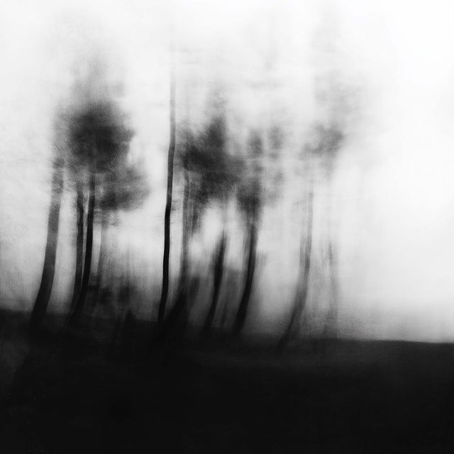 Abstract 20" X 20" 'Blurred Landscape' #3 Black and White Photography For Sale - Image 3 of 6