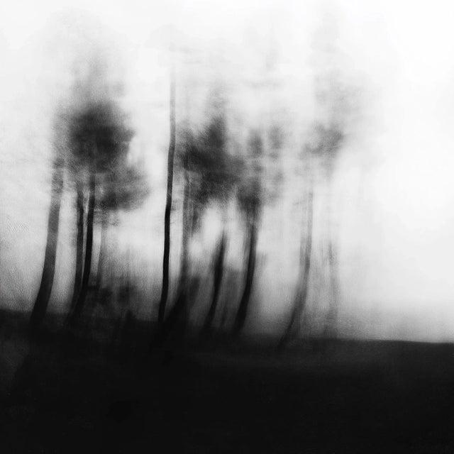 Abstract Blurred Landscape No. 3 Black and White Photography For Sale - Image 3 of 6