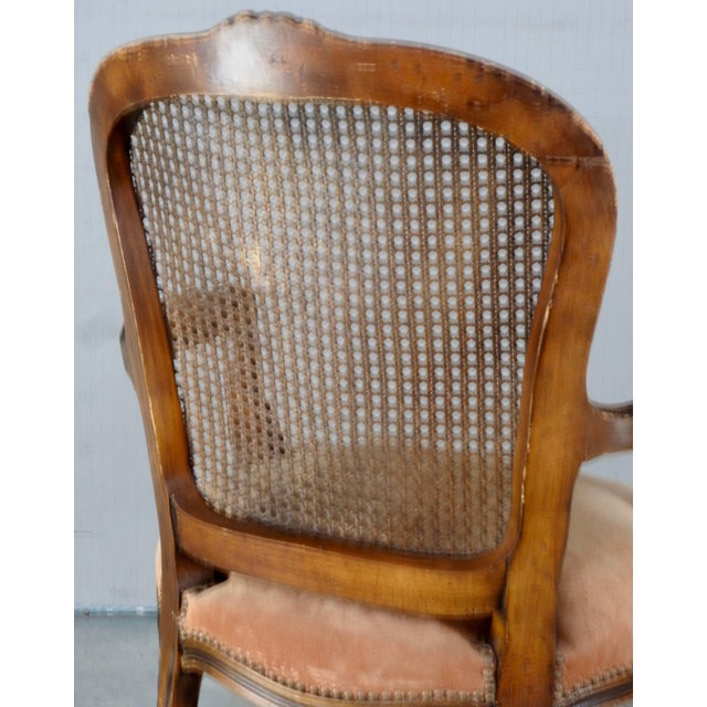 Early 20th Century French Caned Back Fauteuil Armchair For Sale - Image 4 of 11