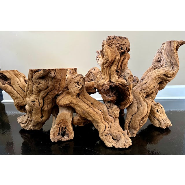 Sculptural Grapevine Trunk Coffee Table, Double-Tier Glass, Attributed to SierraArts (C. 1994–2009) For Sale In Jacksonville, FL - Image 6 of 9