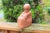 Brick Red Vintage Clay Girl Sculpture For Sale - Image 8 of 8