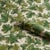 Schumacher Schumacher Edinburgh Vine Wallcovering In Moss For Sale - Image 4 of 5