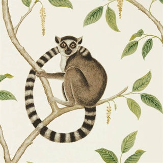 Sanderson Ringtailed Lemur Wallpaper in Cream/Olive For Sale