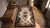 Sublime Tan Beige Color With Beautiful Flower Design Antique American Hooked Rug For Sale - Image 12 of 13