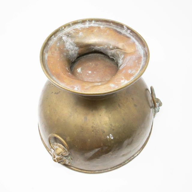 Brass Brass Garden Planter With Lions Heads For Sale - Image 8 of 13