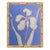 Original Framed Botanical Iris Painting White Flower Wall Art by Tatiana Dupeault For Sale