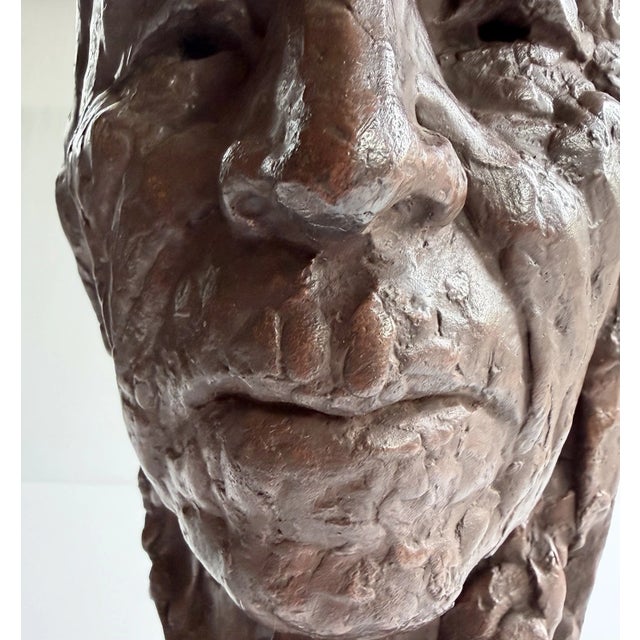 Brown 1978 Alva Studios Museum Replica Bust of Native American Man Ben Black Elk For Sale - Image 8 of 14