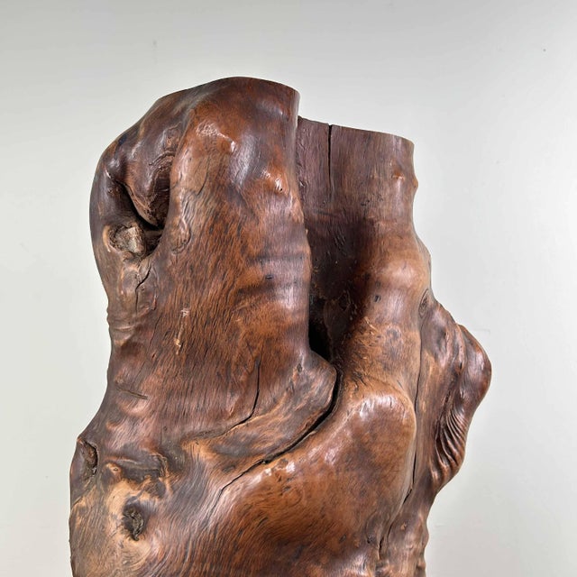 Japanese Decorative Burl Wood Tsuge, 1920s For Sale - Image 16 of 18