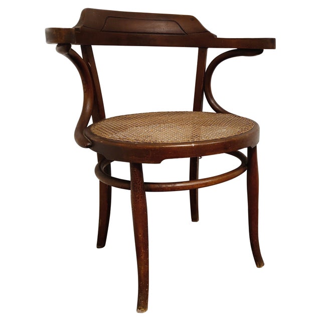 Bentwood Armchair or Bistro Chair, 1950s For Sale - Image 10 of 10