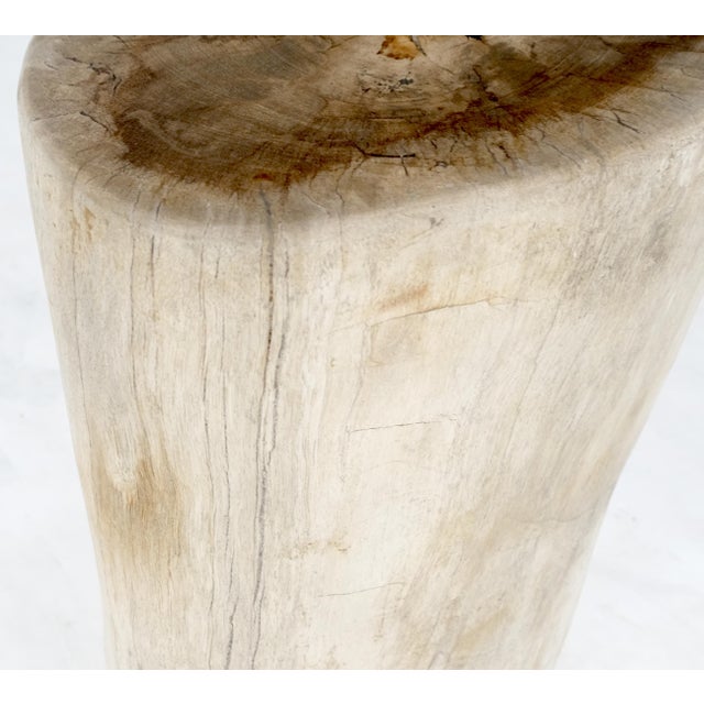 Large Beige Petrified Wood Organic Stomp Shape Stand End Side Table Pedestal For Sale - Image 4 of 9