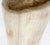 Large Beige Petrified Wood Organic Stomp Shape Stand End Side Table Pedestal For Sale - Image 4 of 9