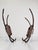 Metal Mid-Century Modern Primitive Sculptural Wall Coat Hooks from Bragalini, 1950s, Set of 2 For Sale - Image 7 of 18